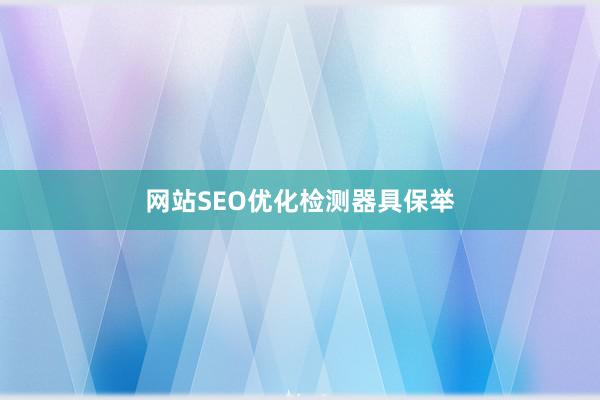 网站SEO优化检测器具保举